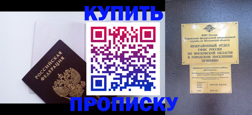 найти адрес прописки в Петропавловске-Камчатском